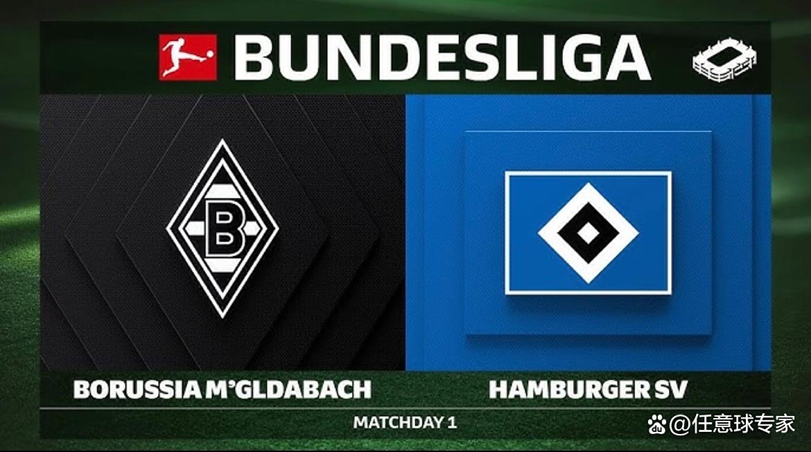 开云娱乐-汉堡市球队有望重回德甲，球员终获认可(汉堡主力阵容汉堡球员名单)